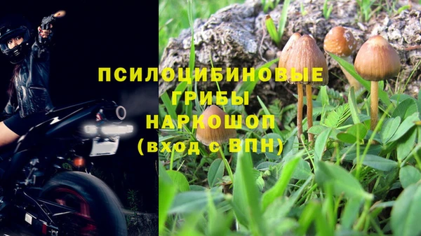 a pvp Краснослободск
