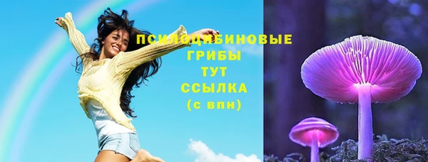 a pvp Краснослободск