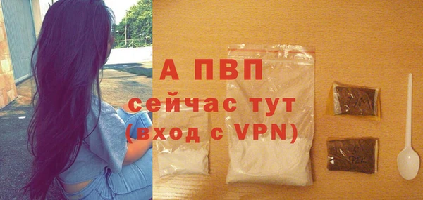индика Красноперекопск