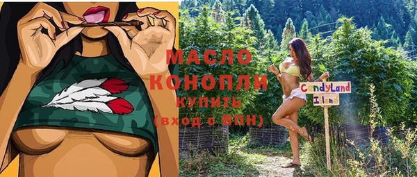 индика Красноперекопск