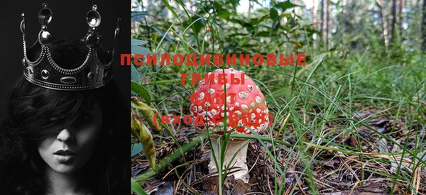 индика Красноперекопск