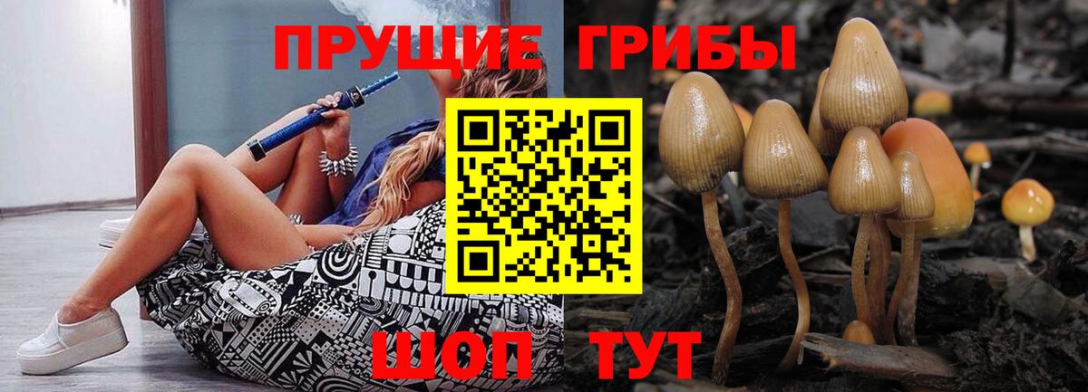 Черемхово  Псилоцибиновые грибы GOLDEN TEACHER  Вход с VPN 