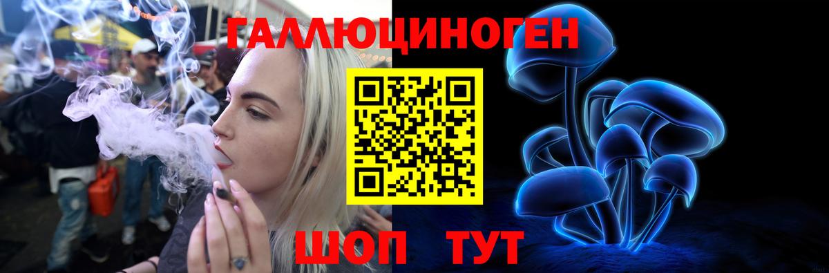 Псилоцибиновые грибы Psilocybe Черемхово